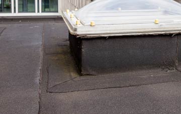 disadvantages of Dorney Reach flat roofs