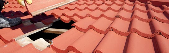 compare Dorney Reach roof repair quotes